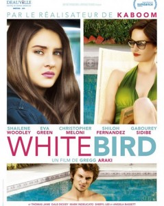 White Bird in a Blizzard