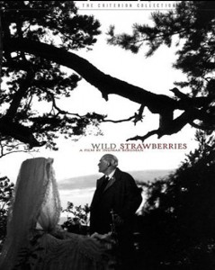Wild Strawberries