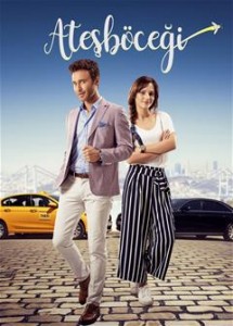 Atesbocegi E17 (End)