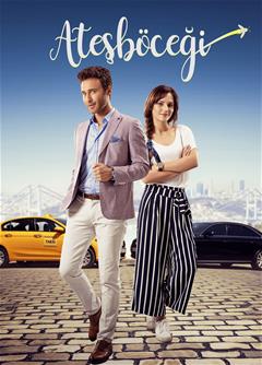 Atesbocegi E17 (End)