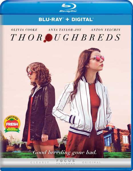Thoroughbreds