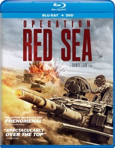 Operation Red Sea
