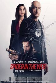 Spider in the Web
