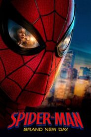 Spider Man: Brand New Day
